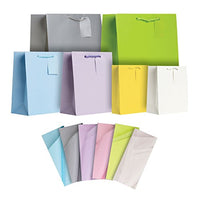 Jillson Roberts All-Occasion Solid Color Gift Bags in Assorted Sizes with Tissue, 6-Count, Pastels (STAT003)