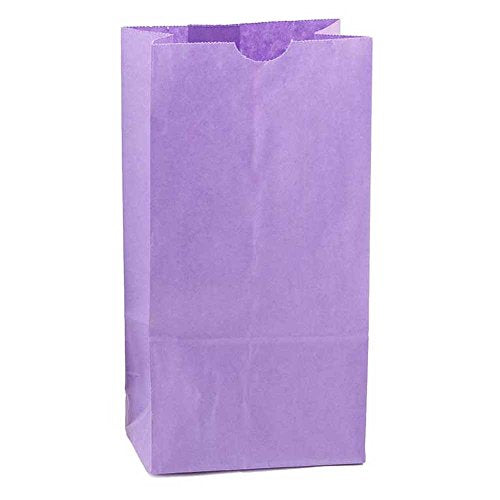 Hygloss Products Purple Paper Bags  For Party Favors, Arts, Crafts 3 x 5 x 9.75 Inch, 100 Pack