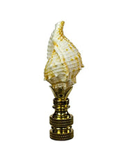 Load image into Gallery viewer, Bursa Sea Shell Lamp Finial with Polished Brass Base 2.25&quot;h
