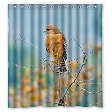 Load image into Gallery viewer, FUNNY KIDS&#39; HOME Fashion Design Waterproof Polyester Fabric Bathroom Shower Curtain Standard Size 66(w) x72(h) with Shower Rings - Bird Predator Hawk Twigs
