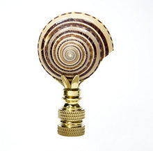 Load image into Gallery viewer, Sun Dial Shell Lamp Finial with Polished Brass Base 3&quot;h
