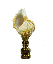 Load image into Gallery viewer, Bursa Sea Shell Lamp Finial with Polished Brass Base 2.25&quot;h
