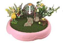 Load image into Gallery viewer, Flower Fairies Moss Planter Insert
