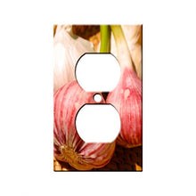 Load image into Gallery viewer, Garlic - Decor Single Switch Plate Cover Metal
