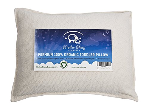 Organic Wool Toddler and Kids Pillow, Travel Pillow, 14x19