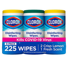 Load image into Gallery viewer, Clorox 30208 Disinfecting Wipes Value Pack 225 Count
