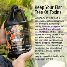 Load image into Gallery viewer, MICROBE-LIFT Nite-Out II Water Cleaner for Outdoor Ponds and Water Gardens, Rapid Ammonia and Nitrite Reduction (16 Ounces)
