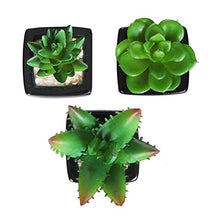 Load image into Gallery viewer, WINOMO 3pcs Artificial Potted Succulent Plants Mini Faux Planter with Black Ceramic Pots

