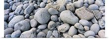 Load image into Gallery viewer, GREATBIGCANVAS Entitled Beach Rocks Acadia National Park ME Poster Print, 90&quot; x 30&quot;, Multicolor
