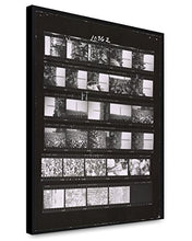 Load image into Gallery viewer, ClassicPix Canvas Print 20x24: Civil Rights March On Washington, 1963
