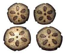 Load image into Gallery viewer, MTI Coastal Sand Dollar Wood Burned Napkin Rings Set of 4
