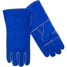 Load image into Gallery viewer, Steiner LG Blue Economy Glove (STI-02509)
