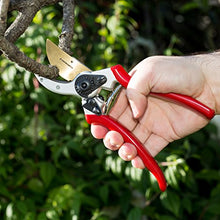 Load image into Gallery viewer, ClassicPRO Titanium Pruning Shears - Best Tree Trimmer, Garden Shears, Hand Pruner - Top Choice Bush Shrub &amp; Hedge Clippers - Razor Sharp Bypass Secateurs, Ergonomic Gardening Tool for Effortless Cuts
