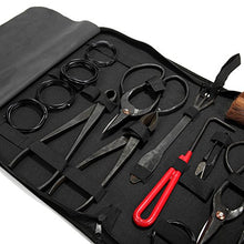 Load image into Gallery viewer, Destinie New Bonsai Tools 10 PCS Carbon Steel Shear Set Kit with Tool Roll Wires Case
