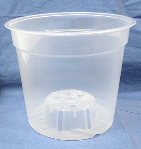 Clear Plastic Pot for Orchids 6 inch Diameter - Quantity 10