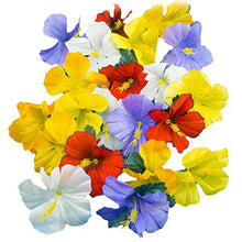 Load image into Gallery viewer, Adorox 24 Pack Hawaiian Luau Artificial Hibiscus Flower Petals Scatter Tropical Tabletop Decorations Weddings Confetti Party Favors
