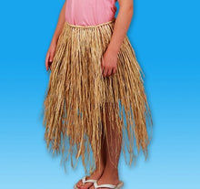 Load image into Gallery viewer, 24 x 21 inches Child Raffia Hula Skirt, Case of 36
