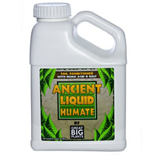 Load image into Gallery viewer, Great Big Plants, LLC Ancient Liquid Humate, Humic Acid and Kelp, Soil Conditioner (1 Gallon)
