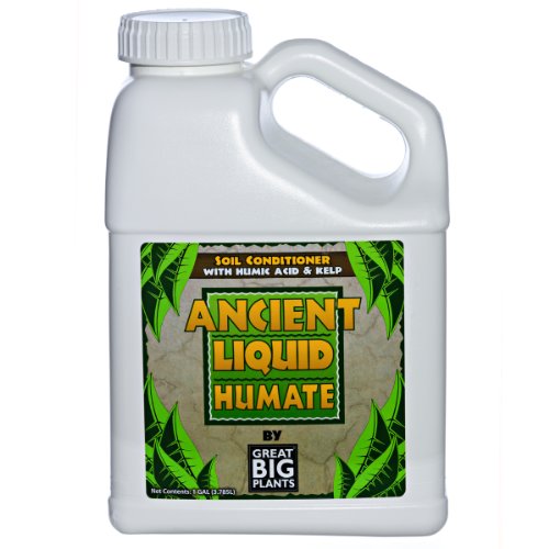Great Big Plants, LLC Ancient Liquid Humate, Humic Acid and Kelp, Soil Conditioner (1 Gallon)