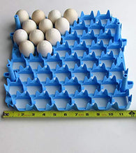 Load image into Gallery viewer, Universal Chicken Egg Trays (6 pack)
