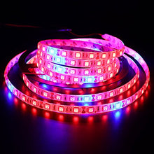 Load image into Gallery viewer, Xunata 16.4ft LED Plant Grow Strip Light, SMD 5050 Non-Waterproof Full Spectrum Red Blue 8:1 Rope Strip Grow Light for Greenhouse Hydroponic Plant, 12V (Non-Waterproof IP21, 8 Red:1 Blue)
