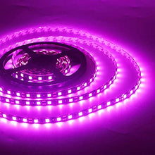 Load image into Gallery viewer, EverBright Pink Led Strip Light,5M /16.4Ft 5050 SMD 300 LED Waterproof Flexible Light Strip for Car Neon Undercar Lighting Kits Mall Booth House TV Party Garden Stage Decoration,with Power Adapter
