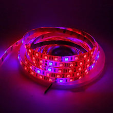 Load image into Gallery viewer, Xunata LED Strip Light, 16.4ft/5m Pant Grow 300 Units SMD 5050 Red &amp; Blue Greenhouse Hydroponic Lamp 12V (Tube Waterproof IP67, 5 Red:1 Blue)
