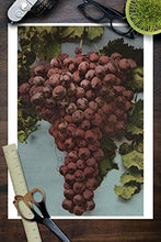 Load image into Gallery viewer, Fruit Chromo Lithograph of Grapes (9x12 Wall Art Print, Home Decor)

