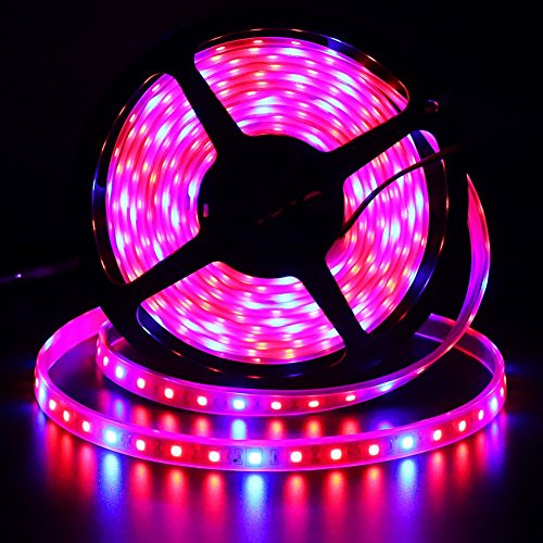Xunata LED Strip Lights, 16.4ft/5m Plant Grow 300 Units SMD 5050 Red & Blue Greenhouse Hydroponic Lamp 12V (Tube Waterproof IP67, 3 Red:1 Blue)