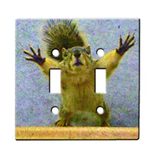 Load image into Gallery viewer, Squirrell Nut Please - Decor Double Switch Plate Cover Metal
