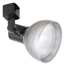 Load image into Gallery viewer, Elco Lighting ET677N Line Voltage PAR30 with Mesh
