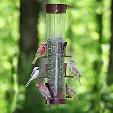 Load image into Gallery viewer, More Birds Bird Feeder with 3.8 lb Bird Seed Capacity, Medium Bird Feeder with Six Feeding Ports
