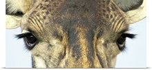 Load image into Gallery viewer, GREATBIGCANVAS Entitled Close-up of a Masai Giraffes Eyes Poster Print, 90&quot; x 36&quot;, Multicolor
