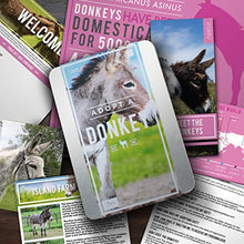 Load image into Gallery viewer, Donkey Adopt It - Charity Animal Adoption Tin

