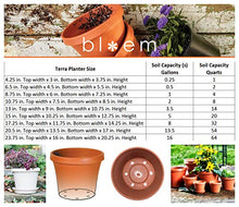 Load image into Gallery viewer, Bloem Terra Pot Planter 20&quot; Living Green
