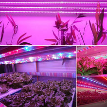 Load image into Gallery viewer, Xunata 16.4ft LED Plant Grow Strip Light, SMD 5050 Waterproof Full Spectrum Red Blue 6:1 Rope Strip Grow Light for Greenhouse Hydroponic Plant, 12V (Waterproof IP65, 7 Red:1 Blue)

